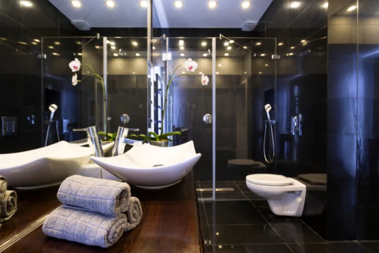 Bathroom vanity and shower