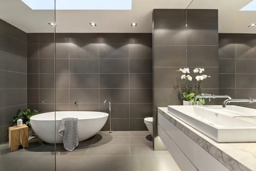 Contemporary bathroom interior